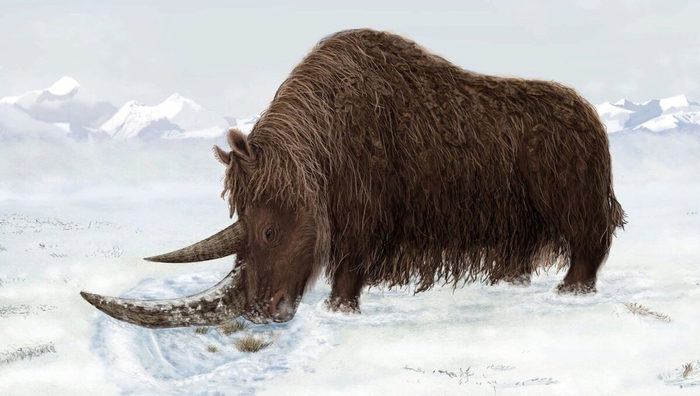 Ух, сейчас как травки накопаю!