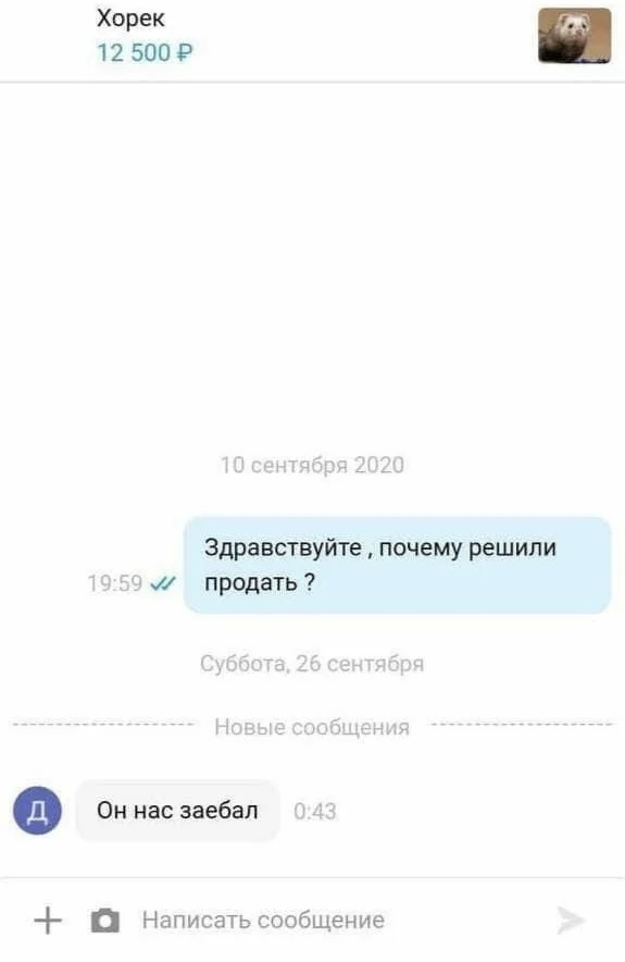    ? , ,   , , , , , 