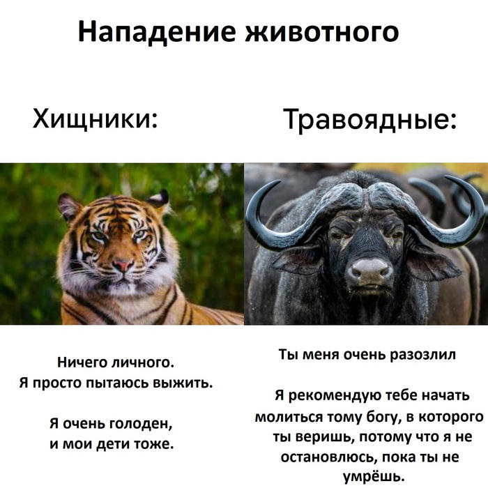     , ,  , ,  , 