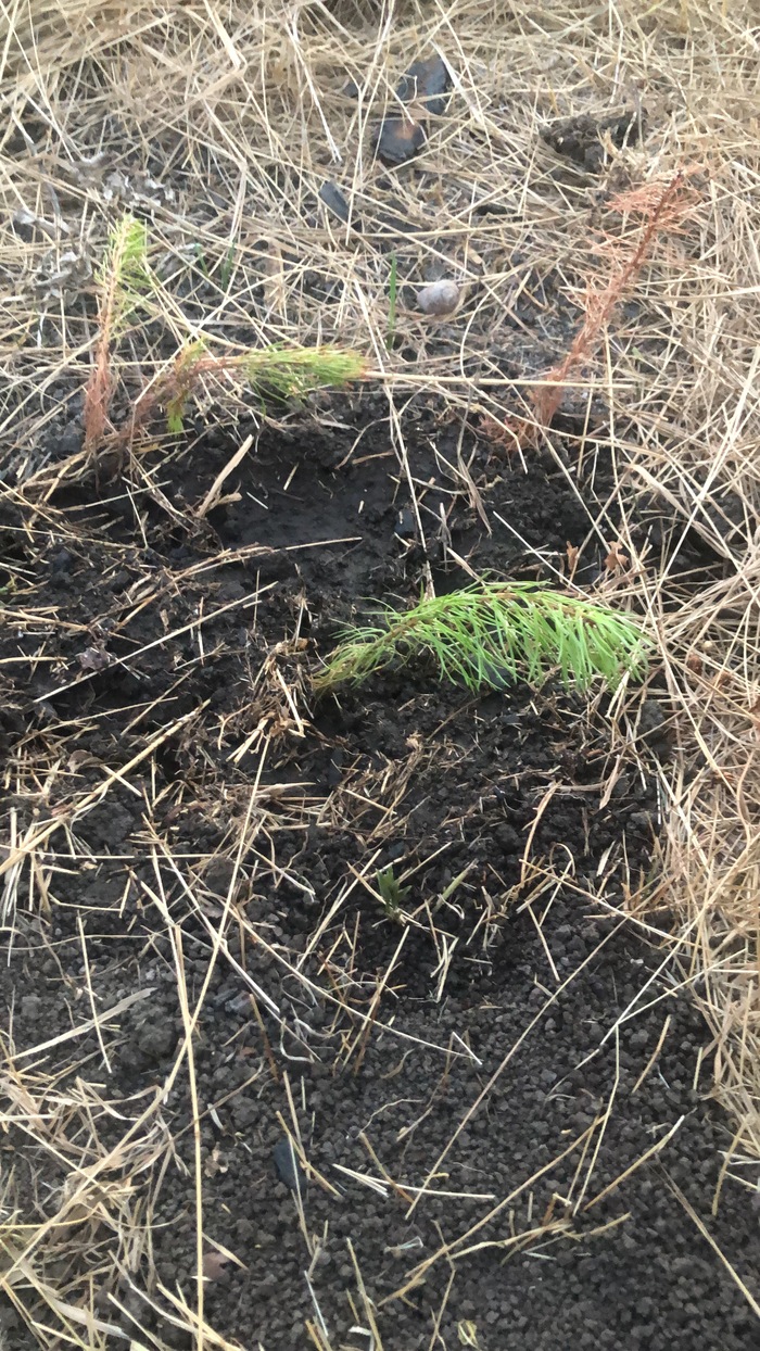 ������� � ������ ���� 15 �������� 10-15 �����������