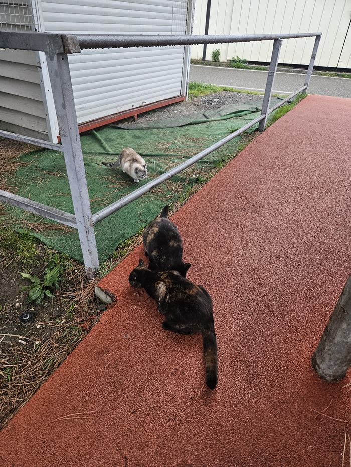       , , , ,  ,  , 