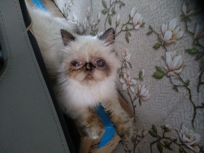 ������ �� ������� � �������� ����. 