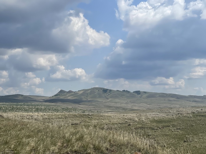              .       ,     ,      . 