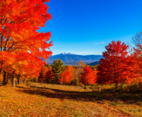 ������� ������� ����.