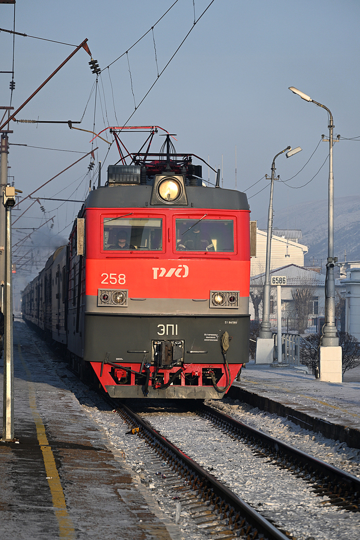   (3) , Nikon,  , 