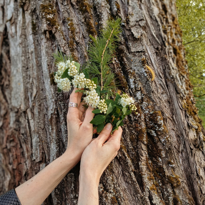Красивое дерево у реки и руки любимой