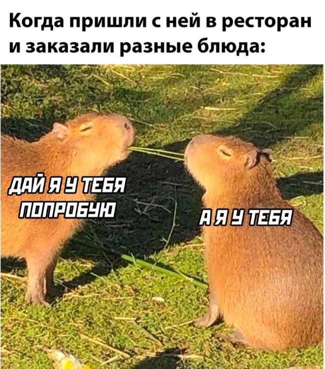  , , , , ,   