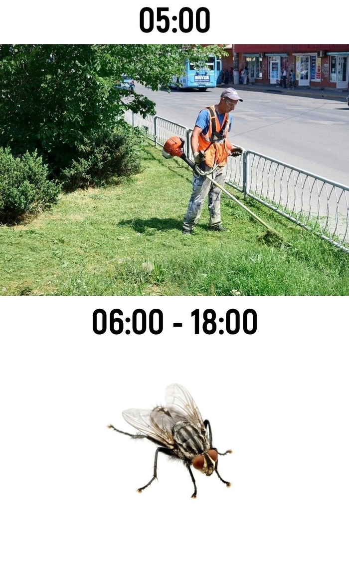     , , , ,   