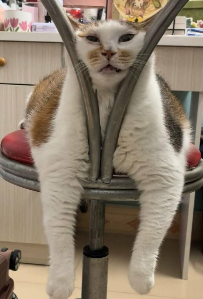  ,  , , Reddit, 