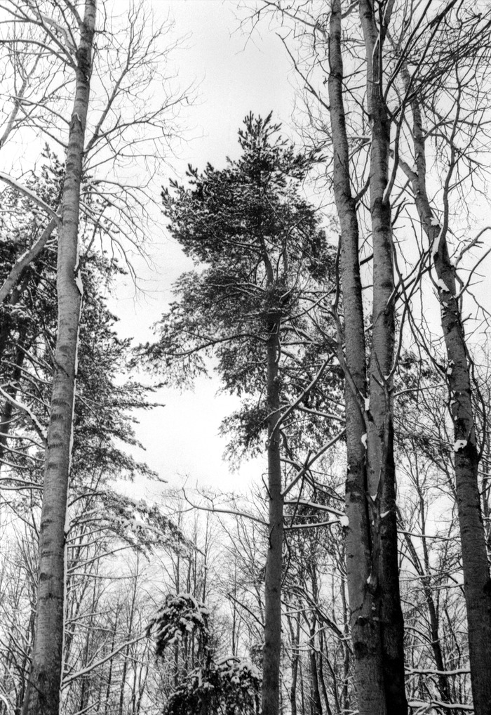 Shanghai GP3 100, push+2