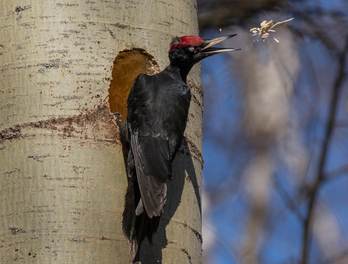 Застройщик готовит новостройку к сдаче.