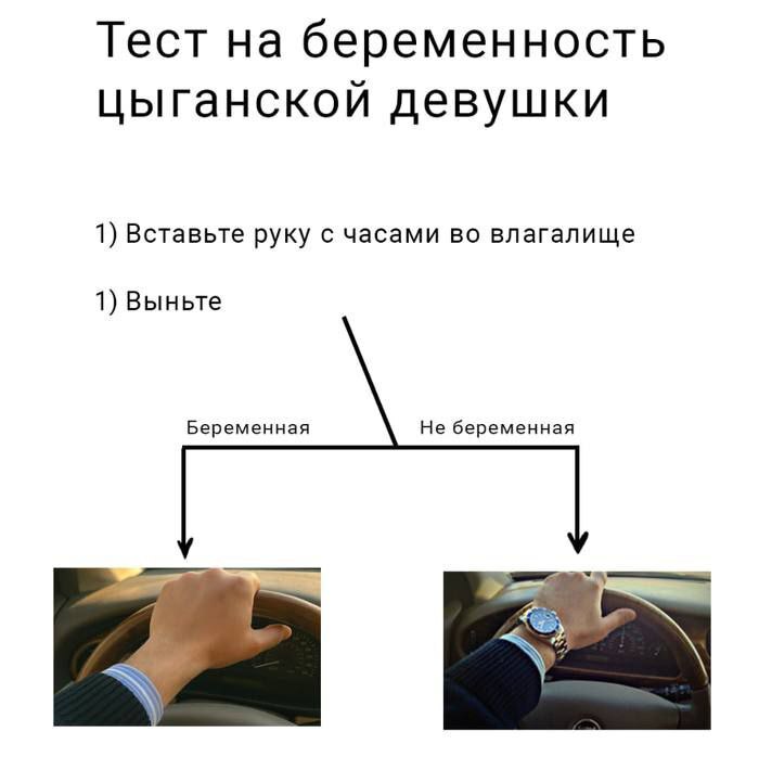   ,  ,  , Telegram (),   , , 