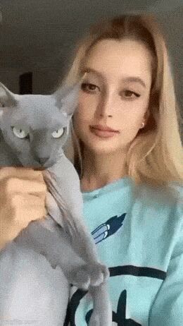     , , , , , 