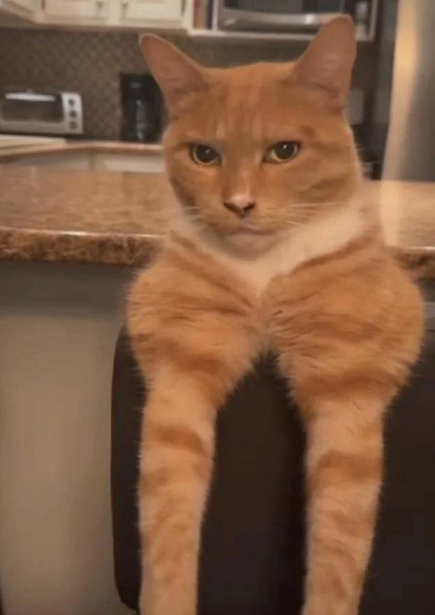   -      , , ,   , , , , , 
