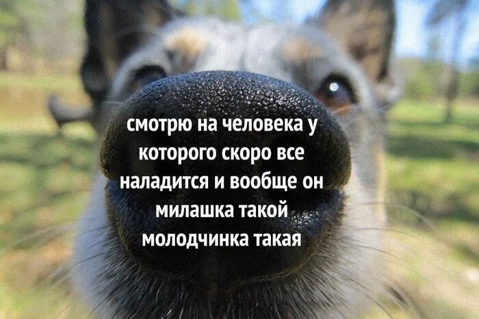  ... , , 