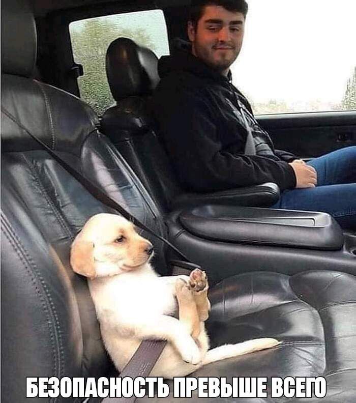     ,   , ,  , , 