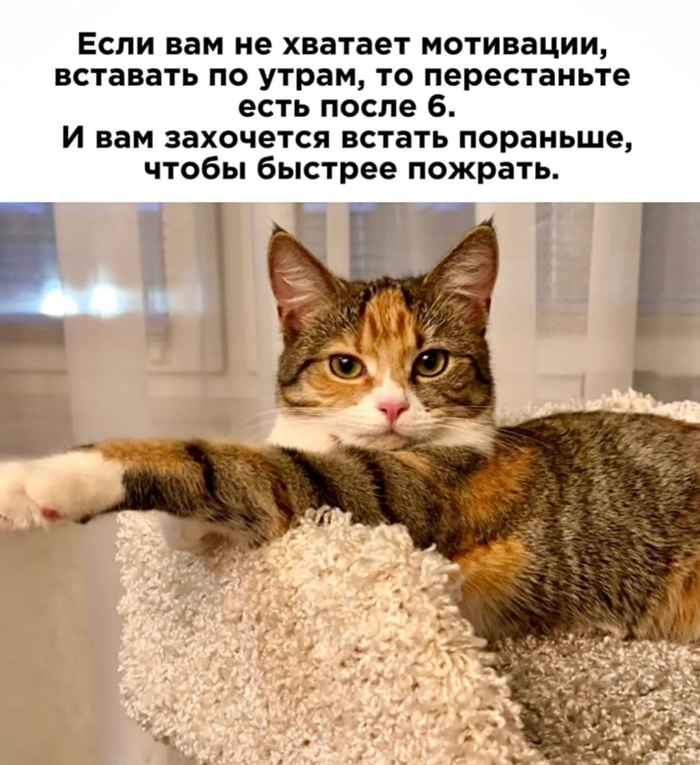       : !   , , , , 