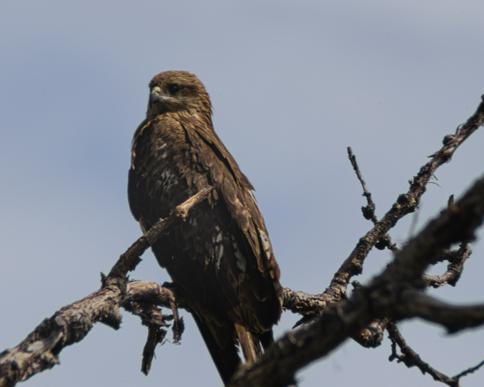 Заметил меня