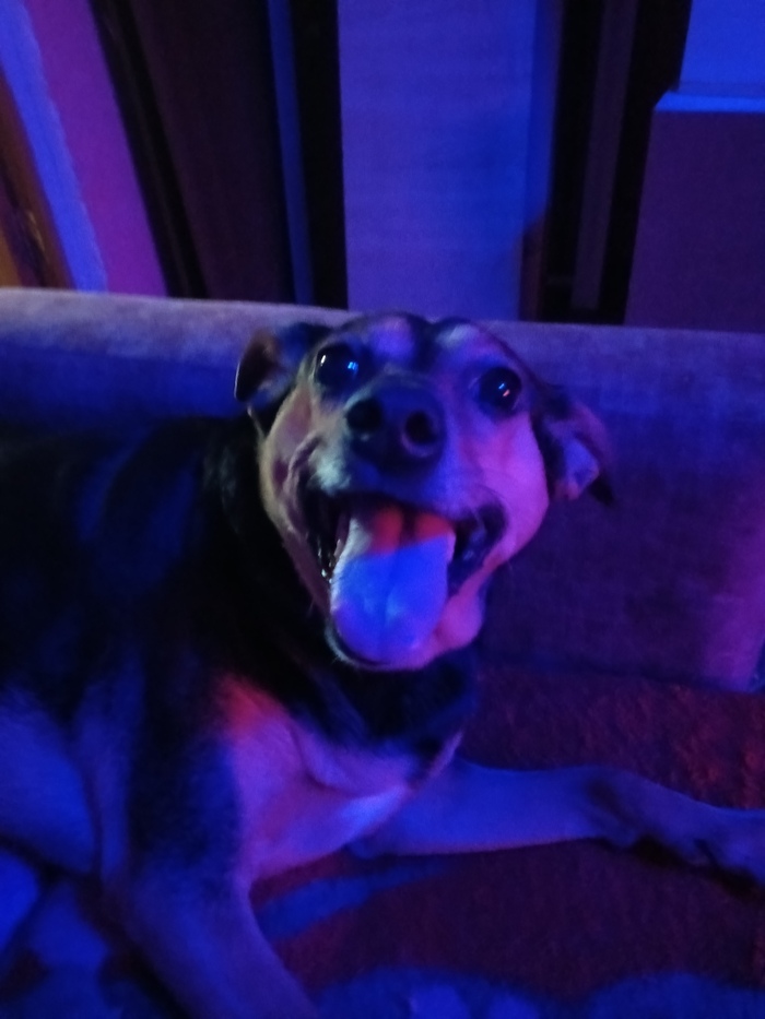 ��� �������� ������ ������� ������?