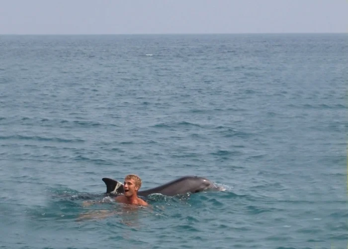 Вероятно, женщины иначе взглянут на игры с дельфинами, узнав что из этого может получиться. Да и мужчинам стоит быть осторожнее Дельфин, Морские обитатели, Животные, Дикие животные, Яндекс Дзен, Яндекс Дзен (ссылка), Длиннопост