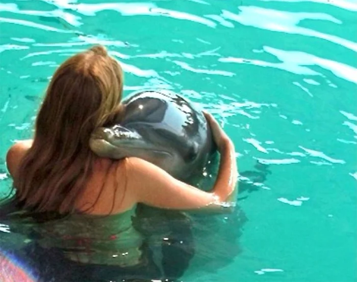 Вероятно, женщины иначе взглянут на игры с дельфинами, узнав что из этого может получиться. Да и мужчинам стоит быть осторожнее Дельфин, Морские обитатели, Животные, Дикие животные, Яндекс Дзен, Яндекс Дзен (ссылка), Длиннопост