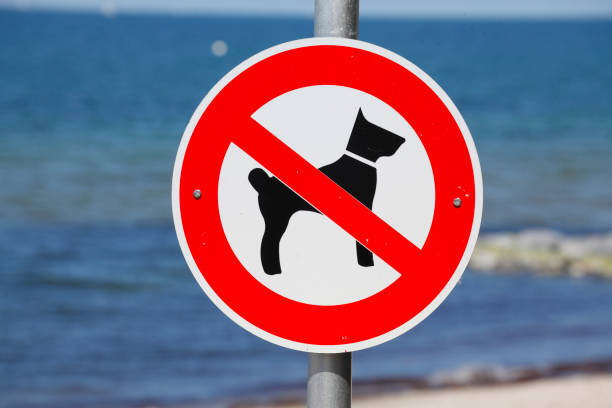 Если разбогатею, обязательно поеду на Мальдивы. И вот почему...