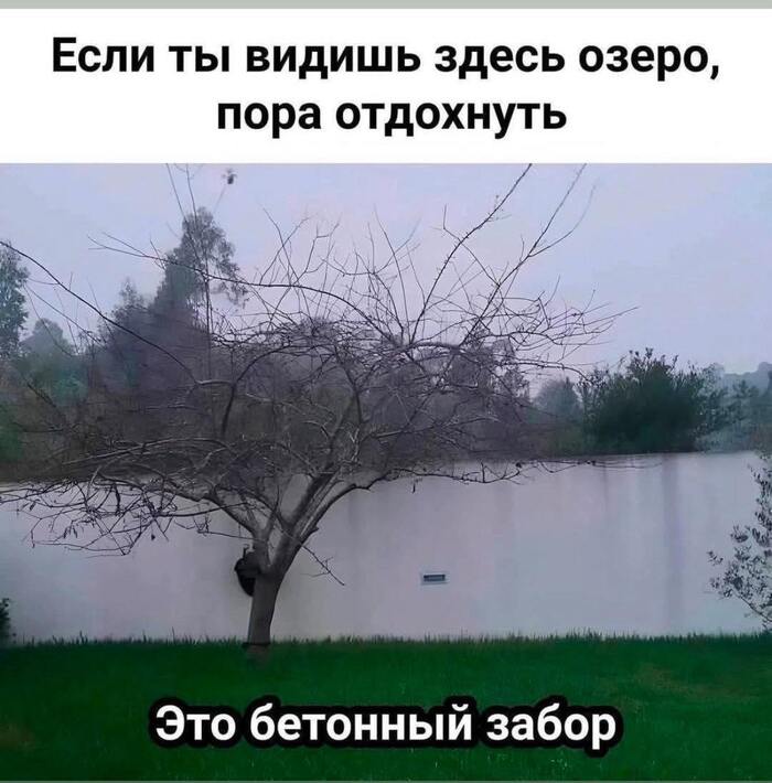 ! , , 