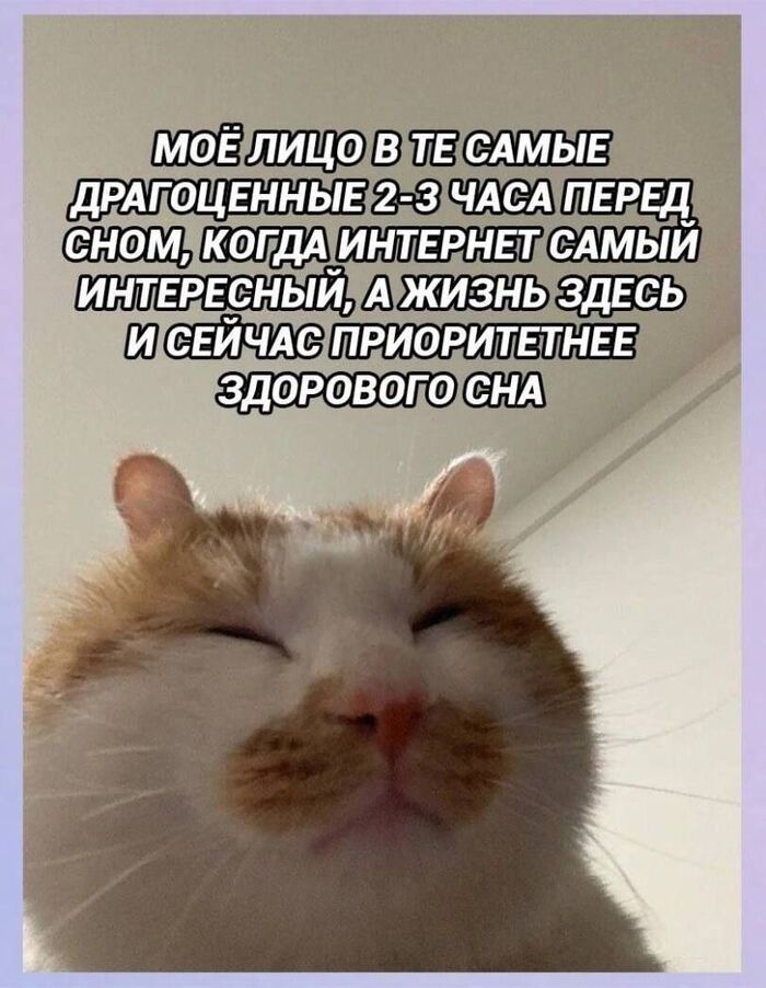  23    ,   , , , Telegram ()