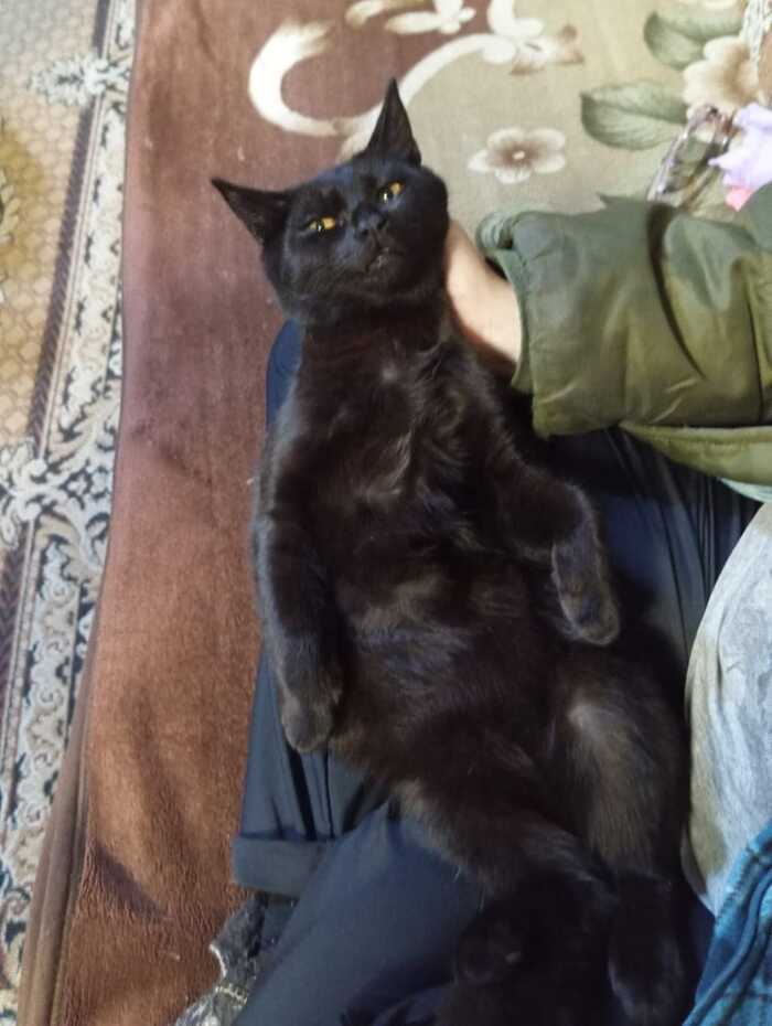  !   , , 