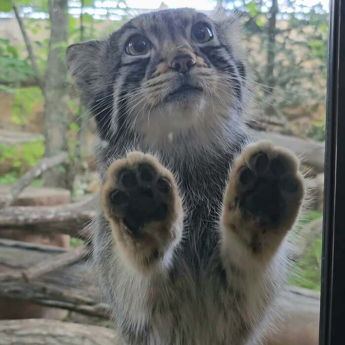 Поиграем в "Ладушки"?