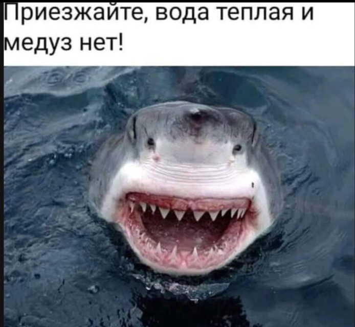      , , ,   