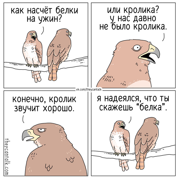 Выбор (снова)