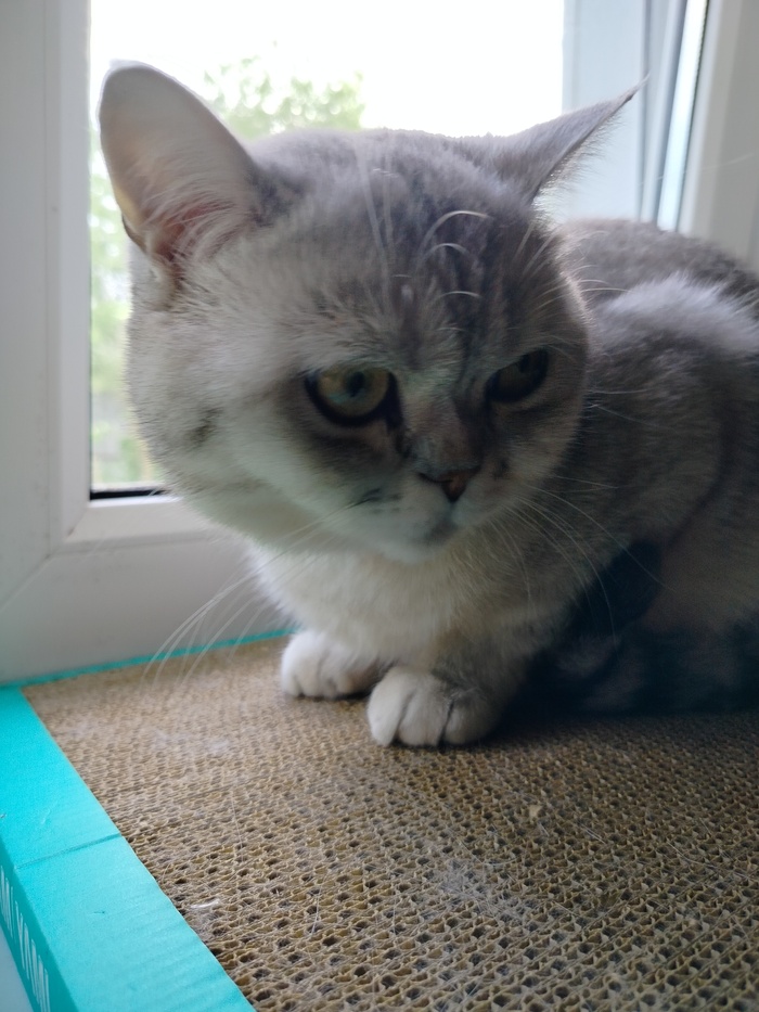     , , , , , , , ,  ,  , 