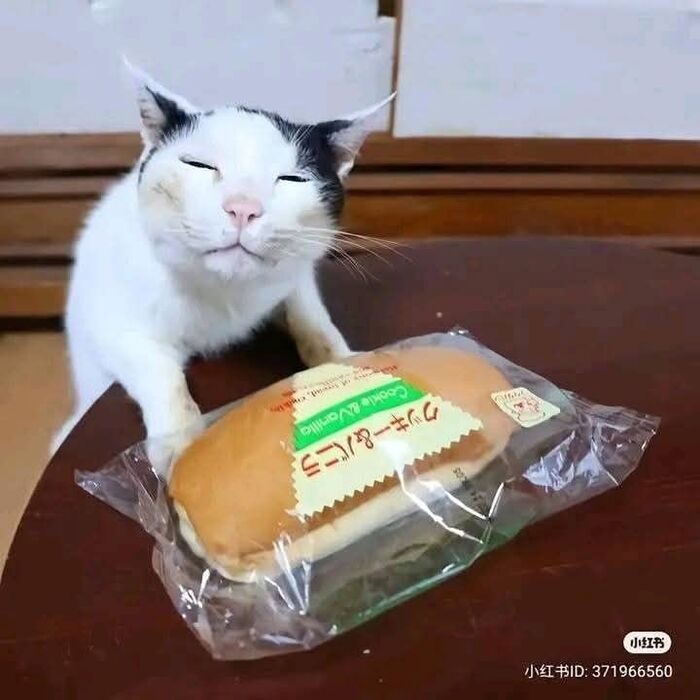   ,       , , , ,  , ,  , ,  , 