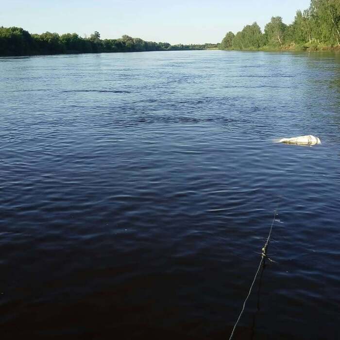 2 ���������� ����� ����� � ������ � ���������. �� ��� �������� ������� � �����. ����� �� ���� �������