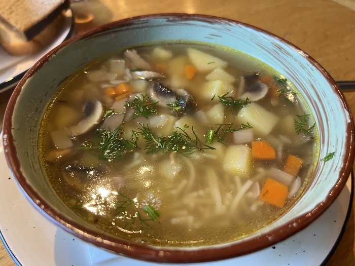 Суп-лапша грибная