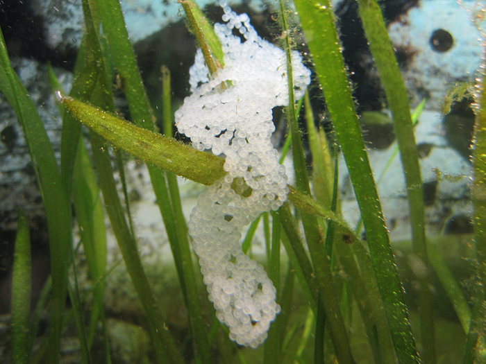       .           .          .      .