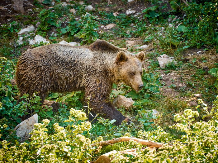        .   ,      !   ,   !    !