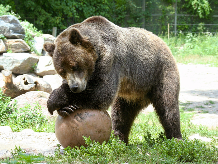 ,       .      .  ,  !     ,       .