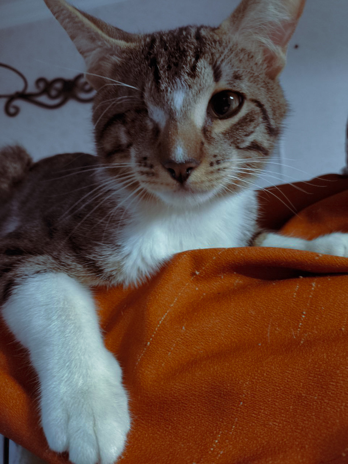 �������� � ���������� ���������� �����