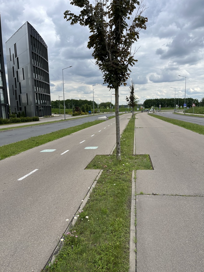          (,  ):))    .    ,  , ,      .