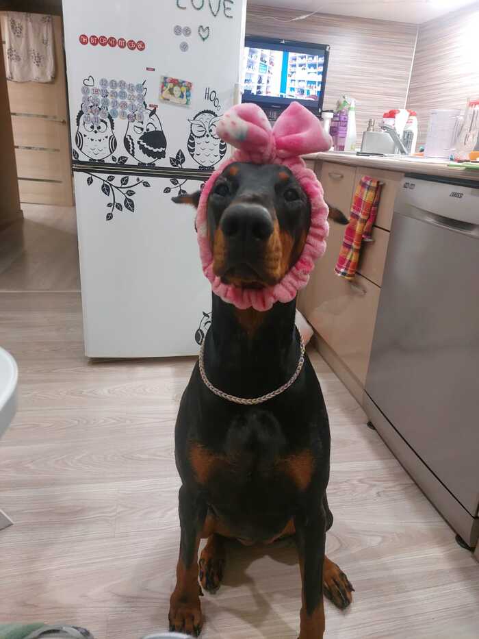 ,  ,    , , ,  , , 