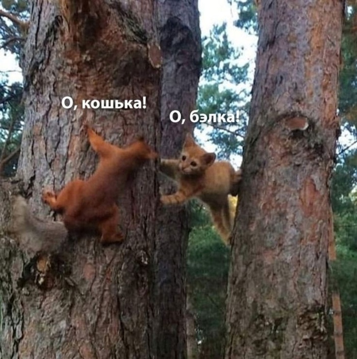       , , , , 