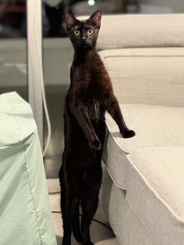  , ,  , , , ,  , 