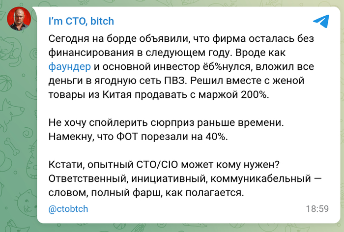     I`m CTO bitch, IT , Wildberries, , , , , ,  , ,  -, 