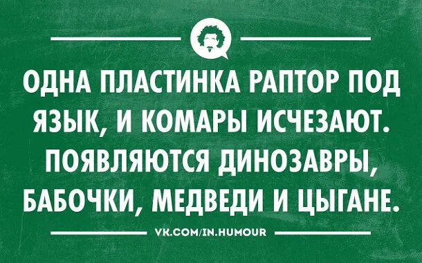 xefvkxbb.webp