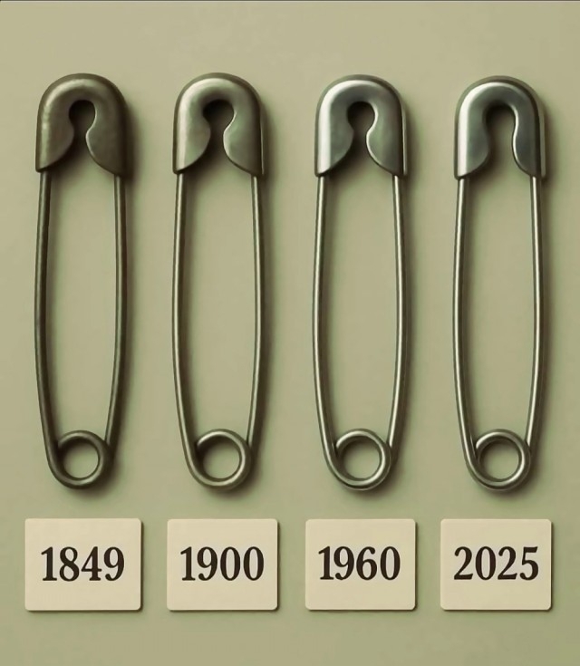    :   , , 
