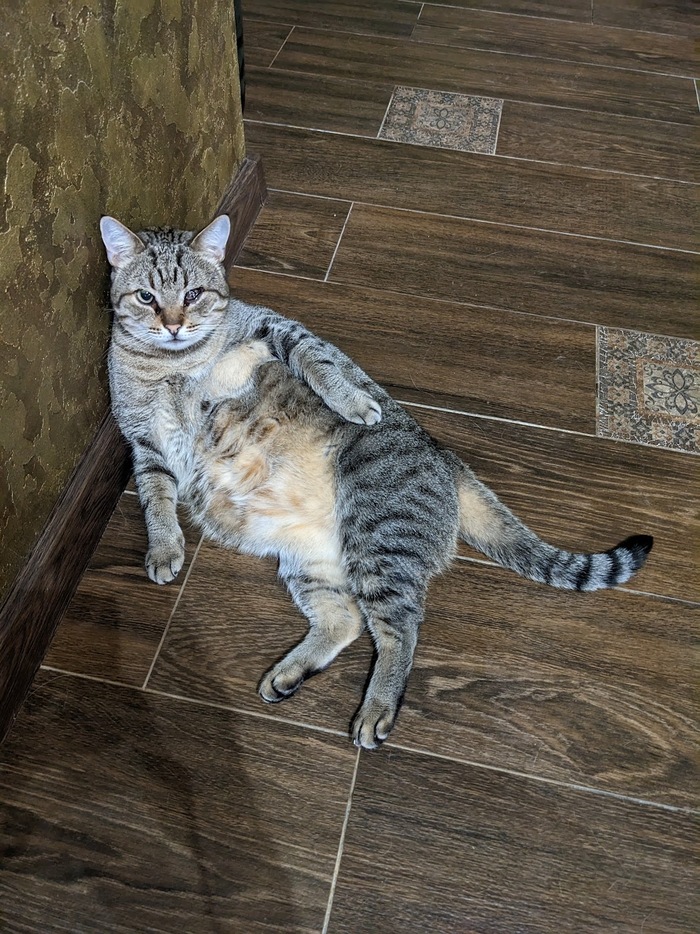 �������� ���� ��� ��������, �� ������� ����� ���� �� ���������� �������� ��������� ��������.