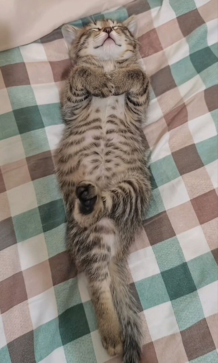   ,   ;) , , , , 