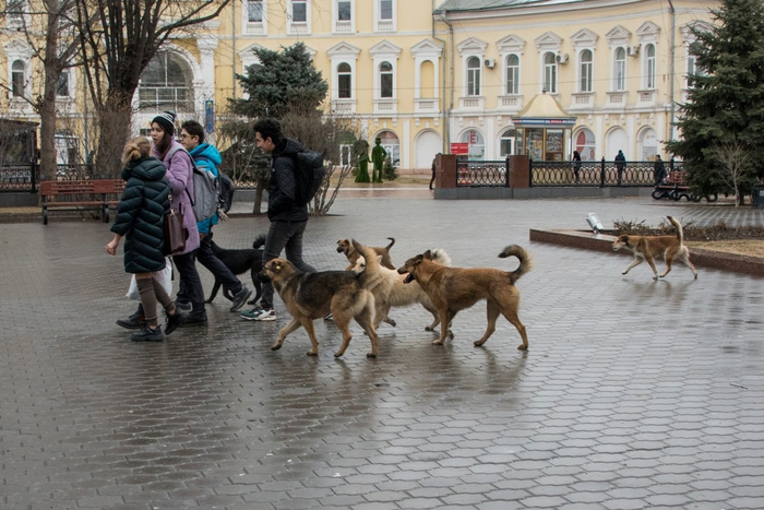 Подростки и квадроберы просто гуляют.